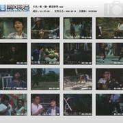 点击查看图片 蛇猫鹤混型掌