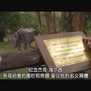 濒危物种 Endangered Species