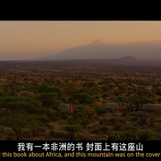 濒危物种 Endangered Species