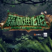 点击查看图片 森林进化论 第二季