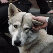 古战场传奇 第四季 Outlander Season 4