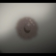 点击查看图片 剑豪生死斗 シグルイ