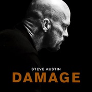 点击查看图片 格斗场 Damage