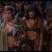 点击查看图片 亚马逊女斗士 Amazons