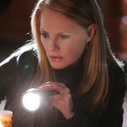 点击查看图片 犯罪现场调查 第八季 CSI: Crime Scene Investigation Season 8
