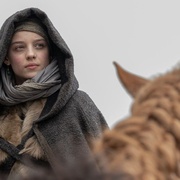 国王与征服者 King and Conqueror