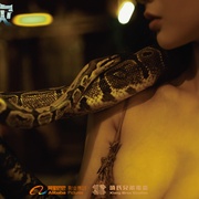 点击查看图片 狂蟒之灾