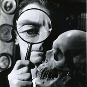 点击查看图片 魔骷髅 The Skull
