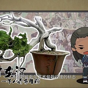 点击查看图片 侠岚 第五季