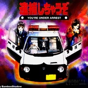 逮捕令 逮捕しちゃうぞ