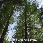 点击查看图片 大自然恐怖故事 Nightmares of Nature