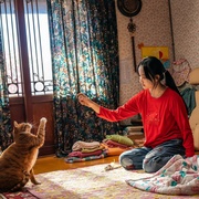 点击查看图片 我的僵尸女儿 좀비가 되어버린 나의 딸