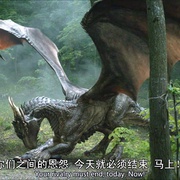 点击查看图片 龙之心4:心火之战 Dragonheart Battle for the Heartfire