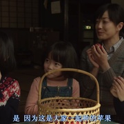 奇迹的苹果 奇跡のリンゴ
