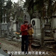 铁玫瑰 La Rose de fer
