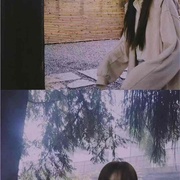 孤独的野兽