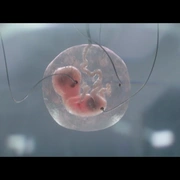点击查看图片 吾乃母亲 I Am Mother