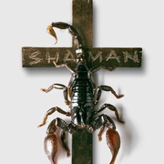 点击查看图片 萨满 Shaman