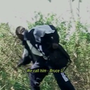 点击查看图片 谁杀死了阿历克斯队长 Who Killed Captain Alex?