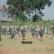 点击查看图片 谁杀死了阿历克斯队长 Who Killed Captain Alex?