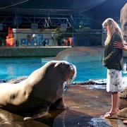 初恋50次 50 First Dates