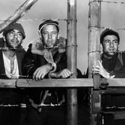 点击查看图片 战地军魂 Stalag 17