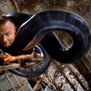 点击查看图片 狂蟒之灾 Anaconda