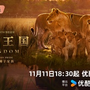 点击查看图片 动物王国 Kingdom