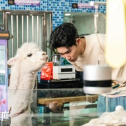 点击查看图片 毒舌家庭