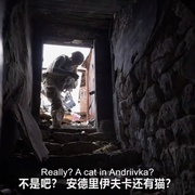 点击查看图片 距安德烈夫卡2000米 2000 Meters to Andriivka