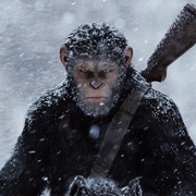 猩球崛起3：终极之战 War for the Planet of the Apes