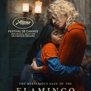 点击查看图片 弗拉明戈的神秘眼神 La misteriosa mirada del flamenco