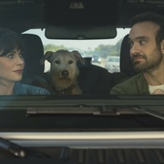 爱犬莫福 Merv