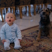 人来宝 Man Vs Baby