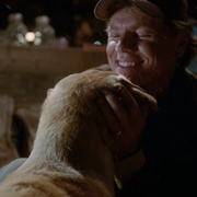 圣诞狗 A Dog Named Christmas