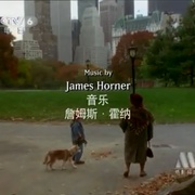 点击查看图片 小狗波图 Balto