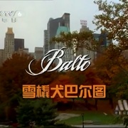 点击查看图片 小狗波图 Balto