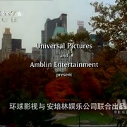 点击查看图片 小狗波图 Balto