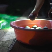 点击查看图片 与象同行