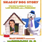 出错风头笑死人 The Shaggy D.A.