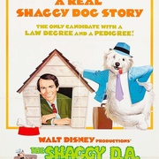 出错风头笑死人 The Shaggy D.A.