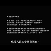 猎黑行动