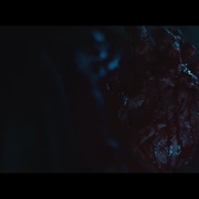 点击查看图片 今夜林中无人入睡2 W lesie dzis nie zasnie nikt 2