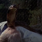 点击查看图片 变形蛇魔 Sssssss