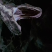 点击查看图片 变形蛇魔 Sssssss