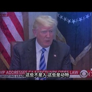 美国大屠杀 American Carnage