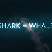 鲨与鲸 Shark vs. Whale