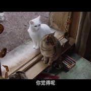 点击查看图片 我和喵喵的冒险旅行 Rroû