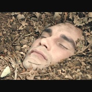 点击查看图片 翻不去的一页 Beneath the Leaves
