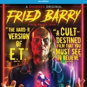 点击查看图片 爆炸的巴里 Fried Barry